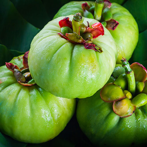 Garcinia Cambogia: qué es y cómo puede apoyar tu bienestar