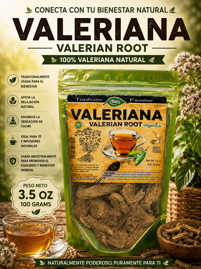 Valeriana (Valerian Root) 100g — Valeriana officinalis