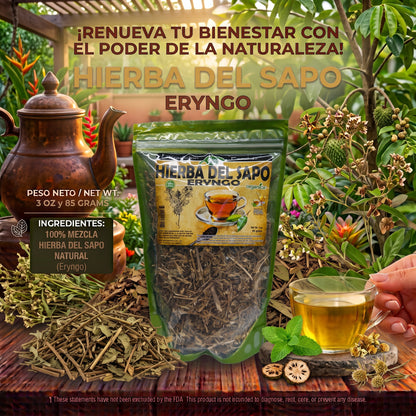 Hierba del Sapo (Eryngo) 100% Natural | 3 oz (85 g) | Eryngium heterophyllum | Hierba Ancestral Mexicana