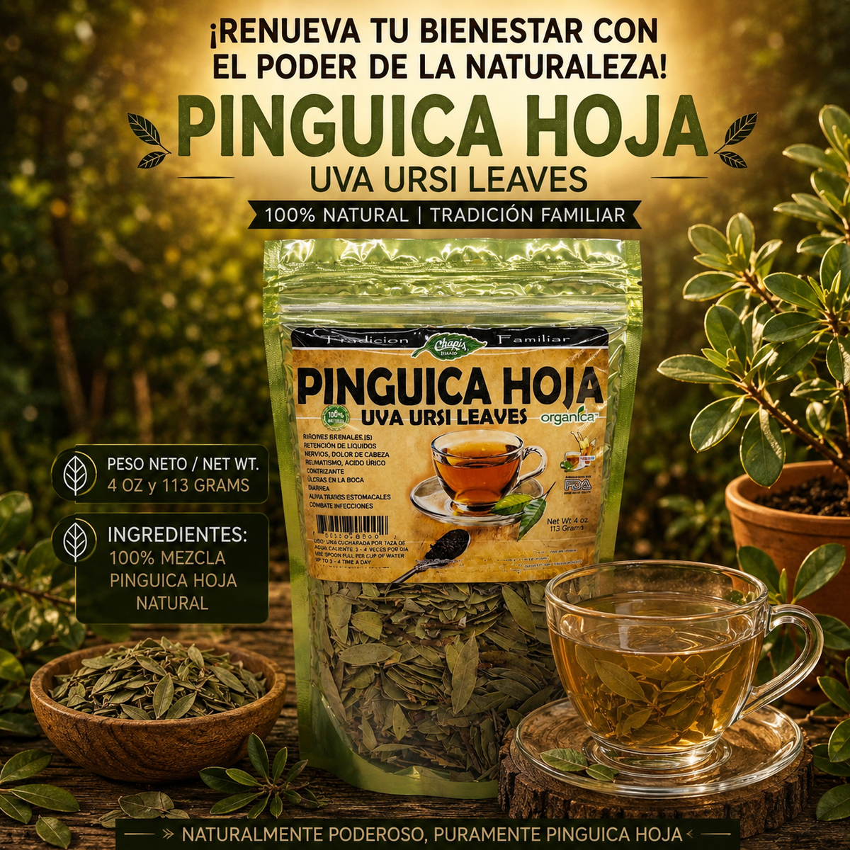 Pingüica Hoja (Uva Ursi) 100% Natural | 4 oz (113 g) | Arctostaphylos uva-ursi | Hoja Ancestral