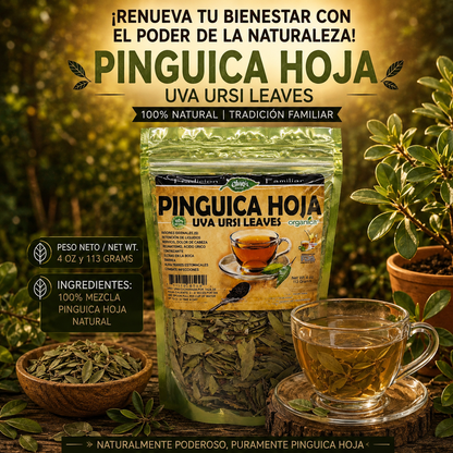 Pingüica Hoja (Uva Ursi) 100% Natural | 4 oz (113 g) | Arctostaphylos uva-ursi | Hoja Ancestral