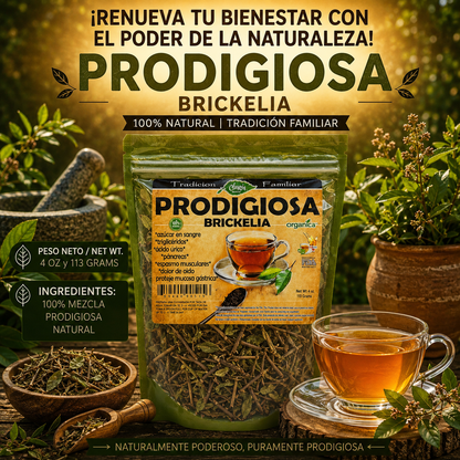 Prodigiosa (Brickelia) 100% Natural | 4 oz (113 g) | Brickellia cavanillesii | Hierba Ancestral Mexicana