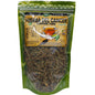 Hierba del Cáncer (Copper Tree) 100% Natural | 3 oz (85 g) | Acalypha phleoides | Hierba Ancestral Mexicana